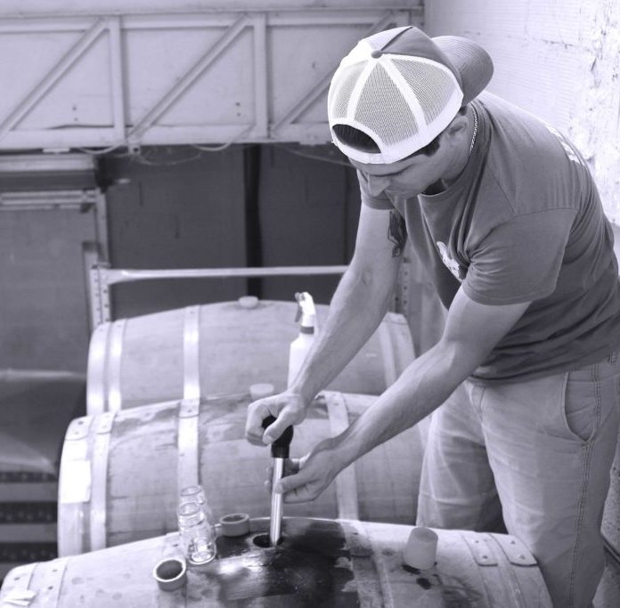 Une personne portant une casquette de baseball à l'envers utilise un outil pour extraire le FÛT DE BIÈRE BLONDE 5° 30L (Bière artisanale bouledogue) d'un tonneau en bois dans un environnement industriel, avec plusieurs tonneaux et petits récipients en verre visibles.