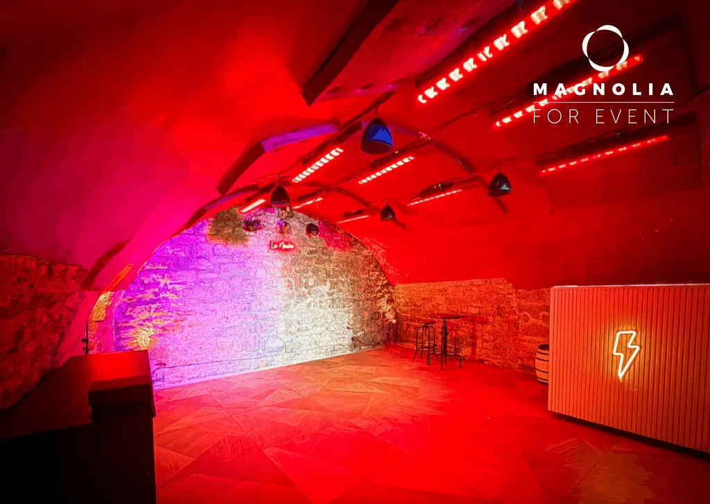 Une pièce faiblement éclairée, aux murs et au plafond en pierre cintrée, s'illumine de rouge et de violet. Des tabourets de bar, des plantes suspendues, un éclair en néon et "LE PETIT PARIS CACHÉ (75004)" apparaissent dans le coin supérieur droit.