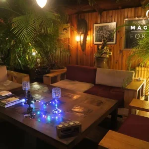 Un salon en bois confortable avec des canapés, une grande table basse, des plantes en pot, un éclairage doux et des œuvres d'art murales. Des livres, des bougies et des guirlandes lumineuses décorent la table. LA PÉNICHE SÉRÉNITÉ (92390) est inscrite dans le coin supérieur droit.